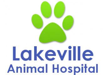 Lakeville Animal Hospital (1325590)